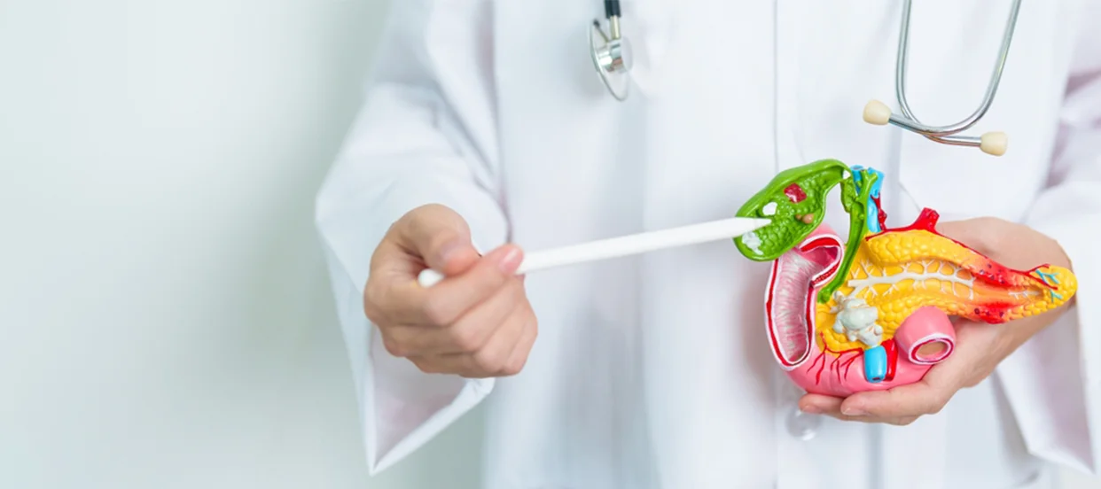 Bile Duct Cancer: Symptoms, Risk Factors, Diagnosis, and Treatment